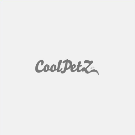 Coolpetz